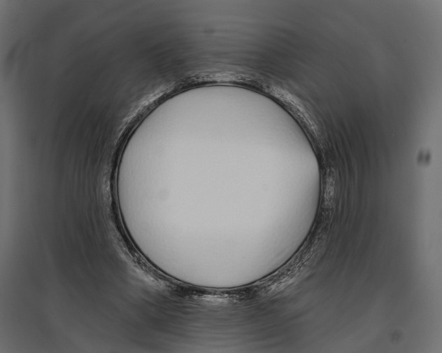 X0000096990394200803071058