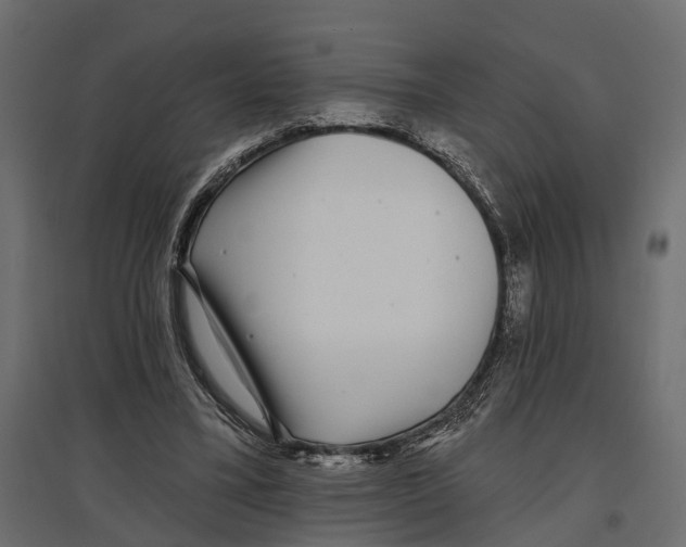 X0000096990395200803071058