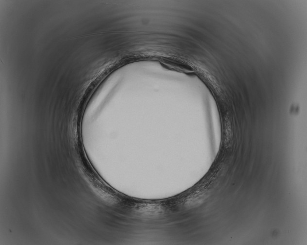 X0000096990398200803071058