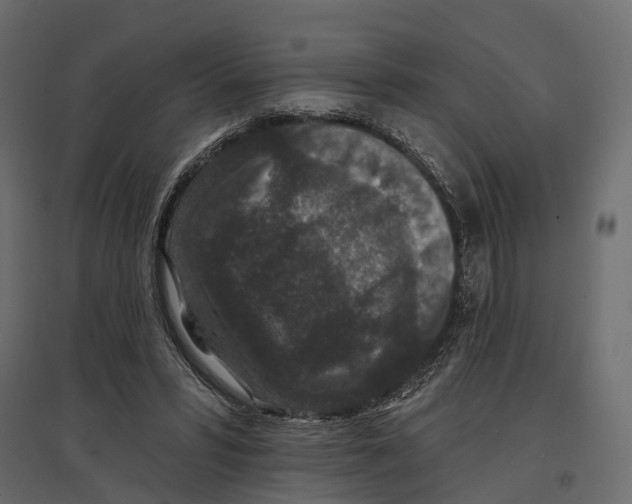 X0000096990399200803071058