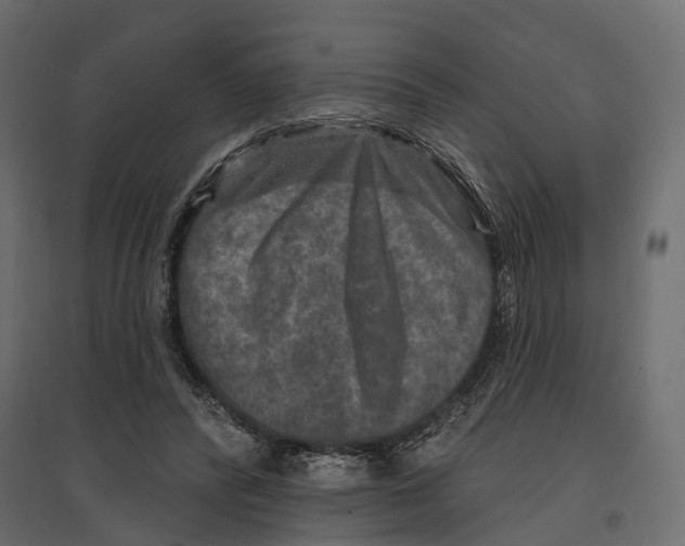 X0000096990400200803071058