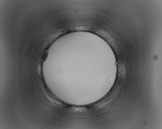 X0000096990401200803071058