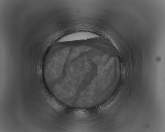 X0000096990402200803071058