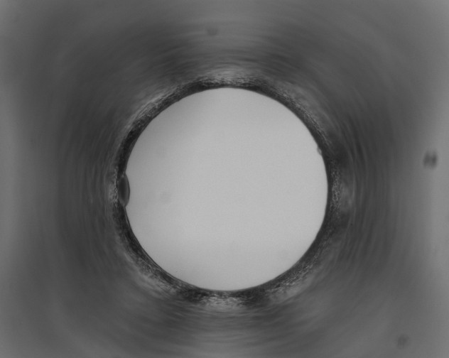 X0000096990403200803071058