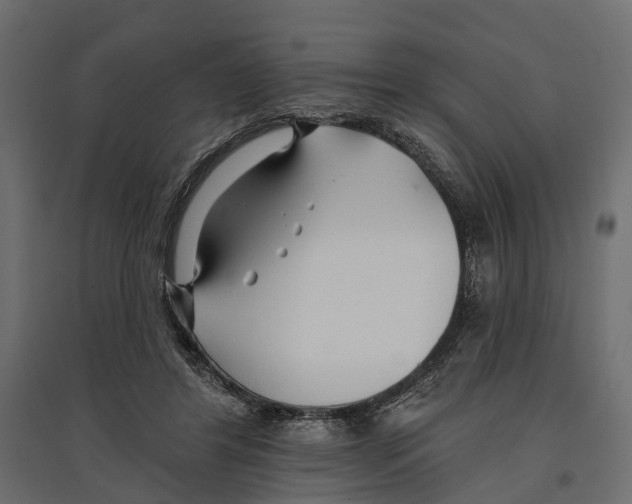 X0000096990404200803071058