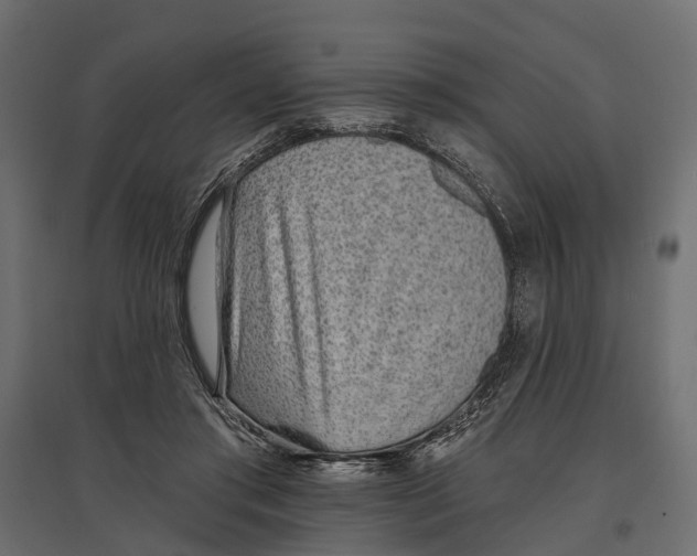 X0000096990405200803071058