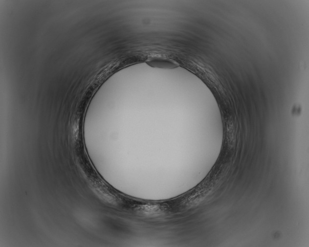 X0000096990406200803071058