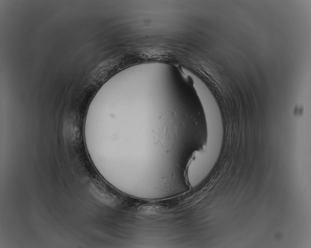 X0000096990408200803071058