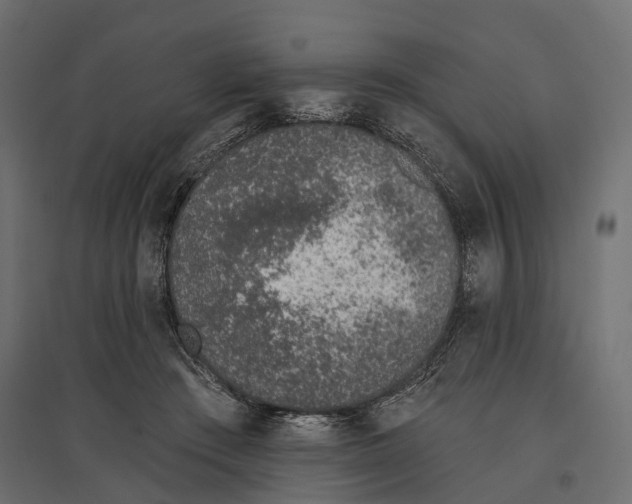 X0000096990409200803071058