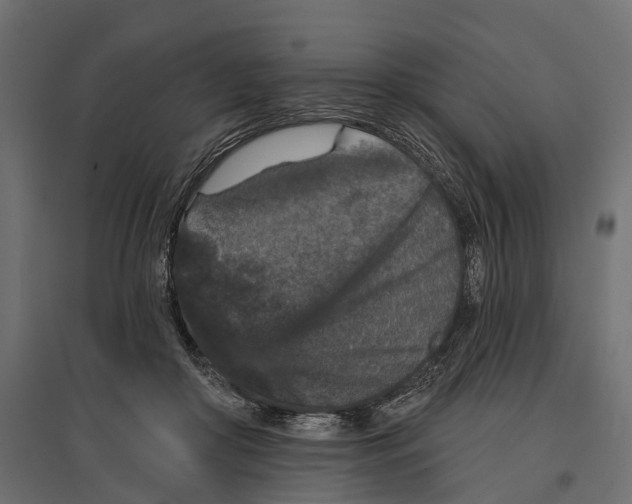 X0000096990410200803071058