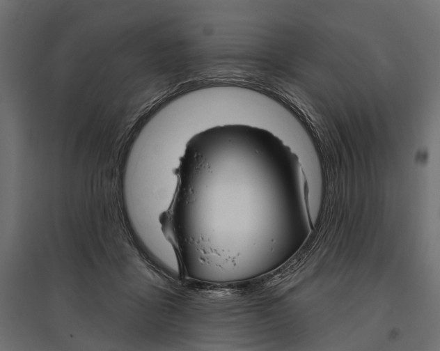 X0000096990411200803071058