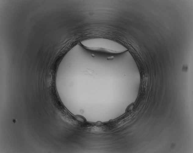 X0000096990412200803071058