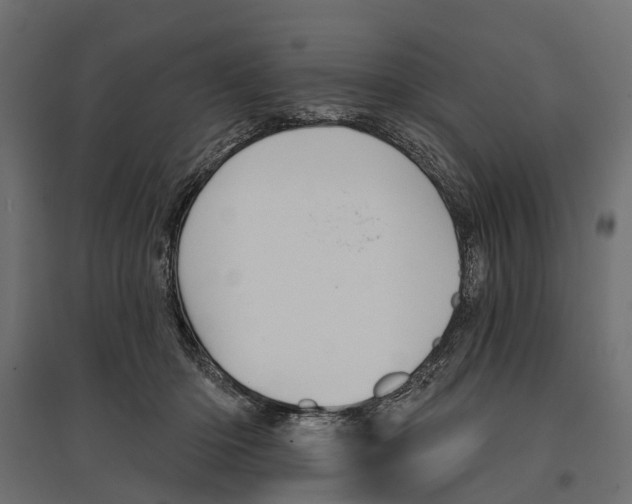 X0000096990414200803071058