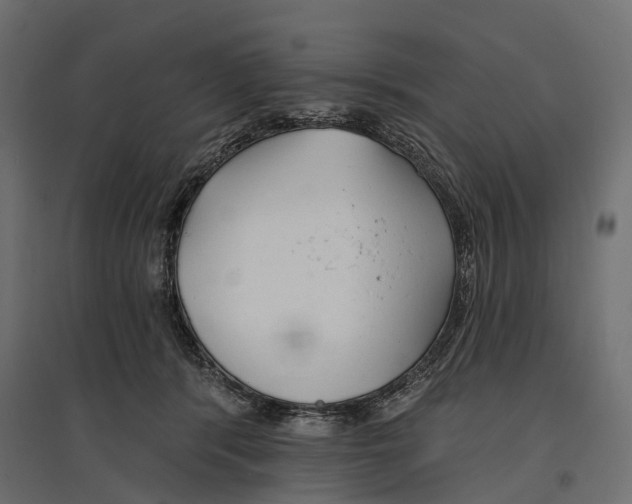 X0000096990416200803071058