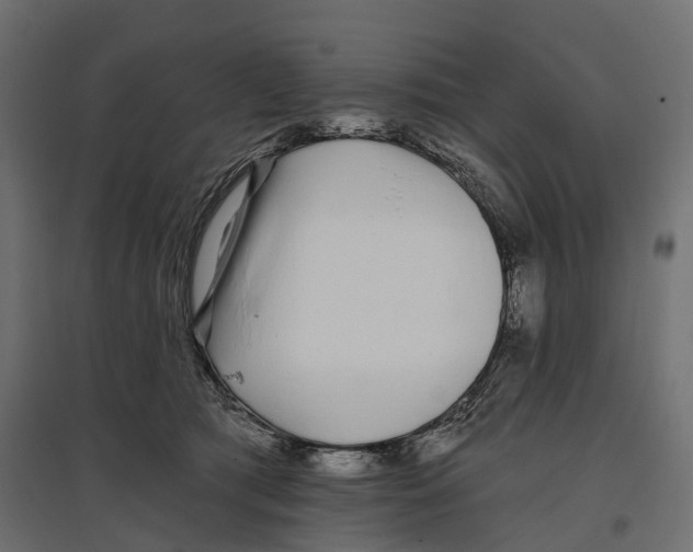 X0000096990417200803071058