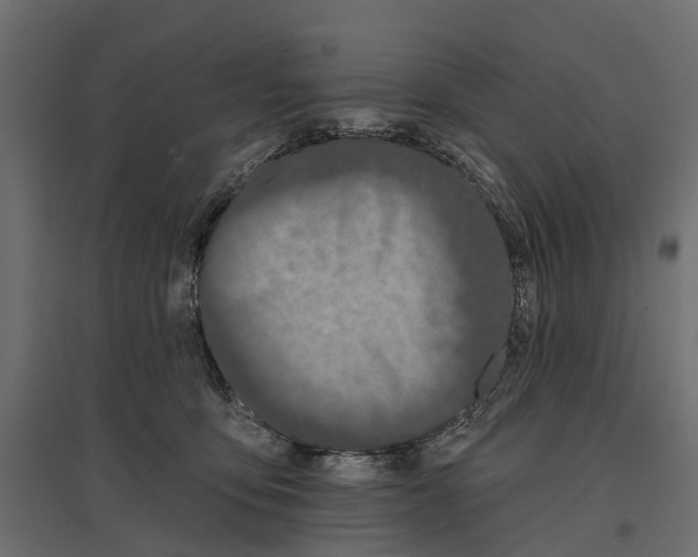 X0000096990419200803071057