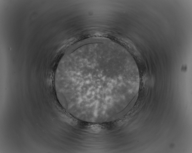 X0000096990423200803071057