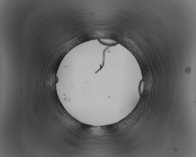 X0000096990425200803071057