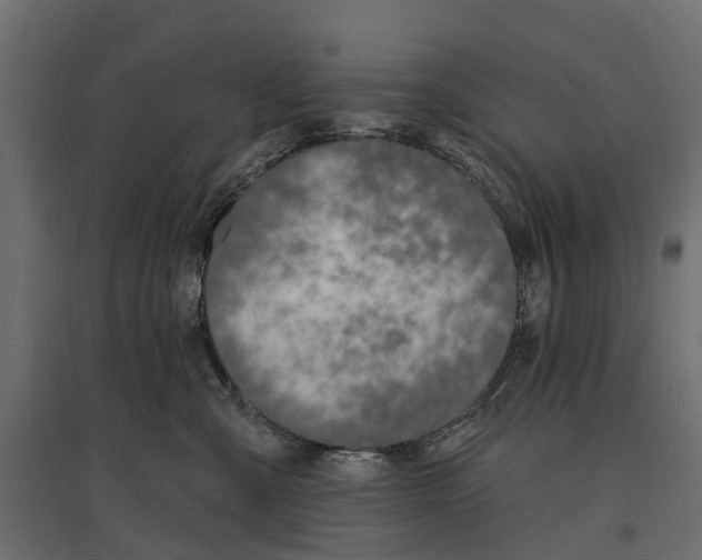 X0000096990427200803071057