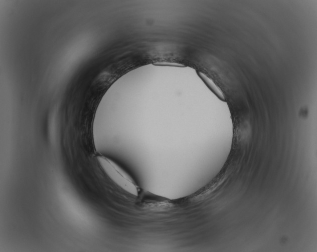 X0000096990429200803071057