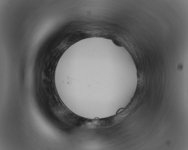 X0000096990430200803071057