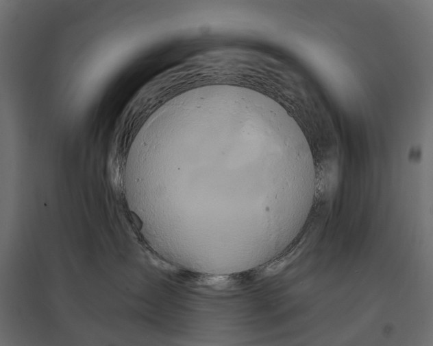 X0000096990431200803071057