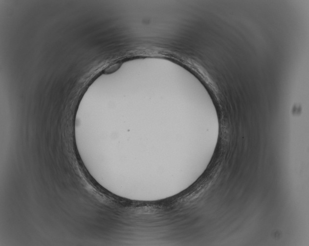 X0000096990433200803071057