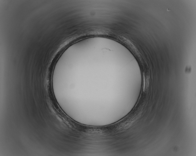 X0000096990435200803071057