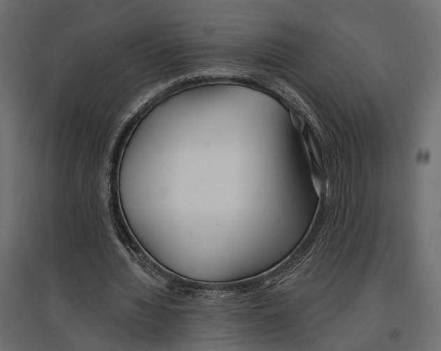 X0000096990436200803071057