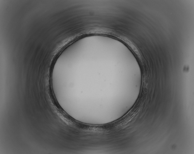 X0000096990437200803071057