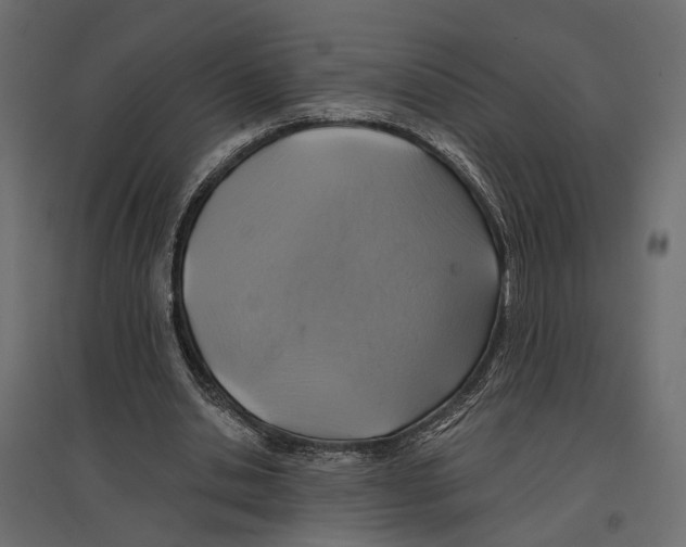 X0000096990438200803071057