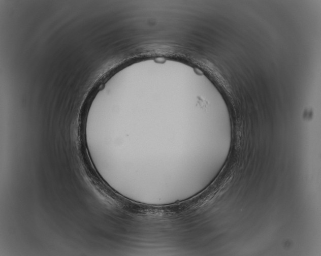 X0000096990439200803071057