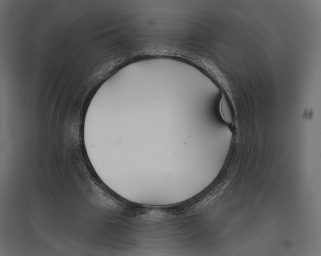 X0000096990441200803071057