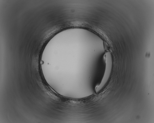 X0000096990442200803071057