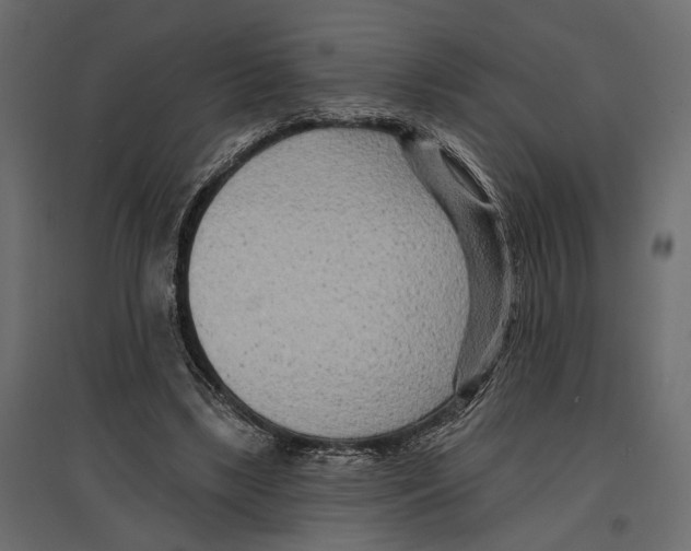 X0000096990443200803071057