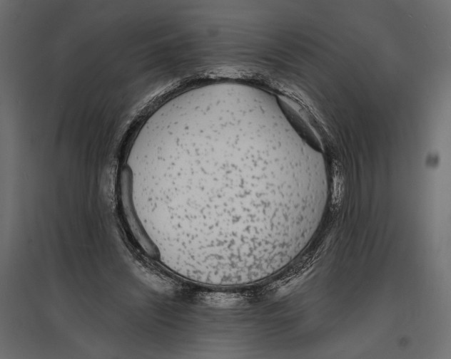 X0000096990444200803071057