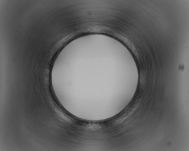 X0000096990445200803071057