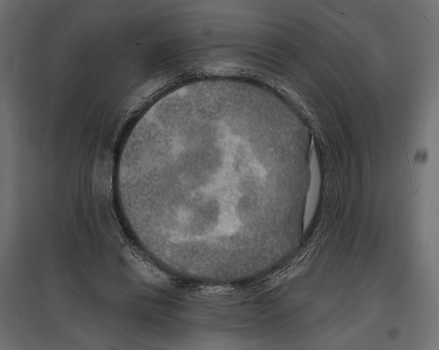 X0000096990446200803071057