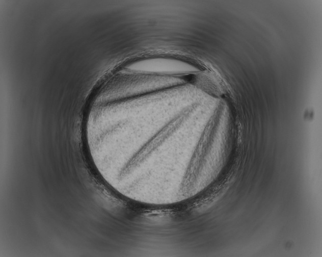 X0000096990447200803071057