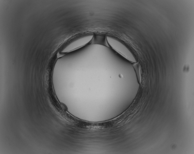 X0000096990448200803071057