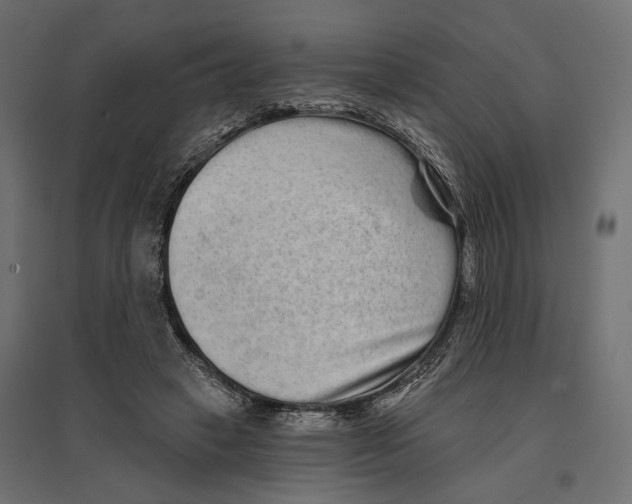 X0000096990449200803071057