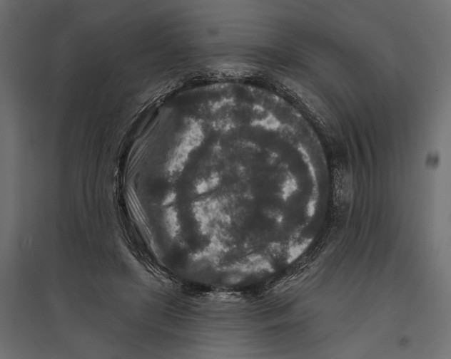 X0000096990451200803071057