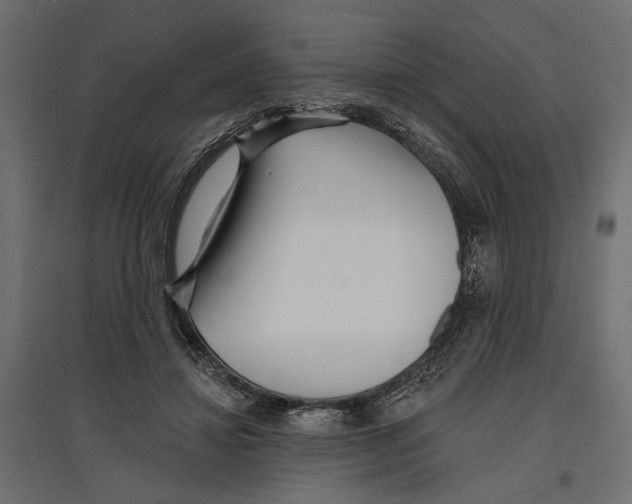 X0000096990452200803071057