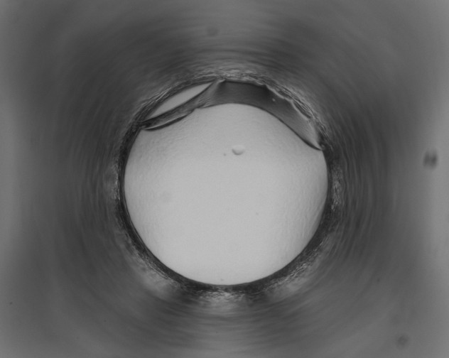 X0000096990453200803071057