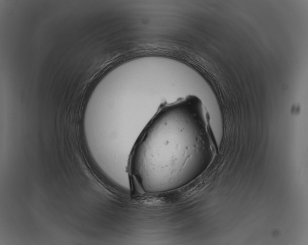 X0000096990456200803071057