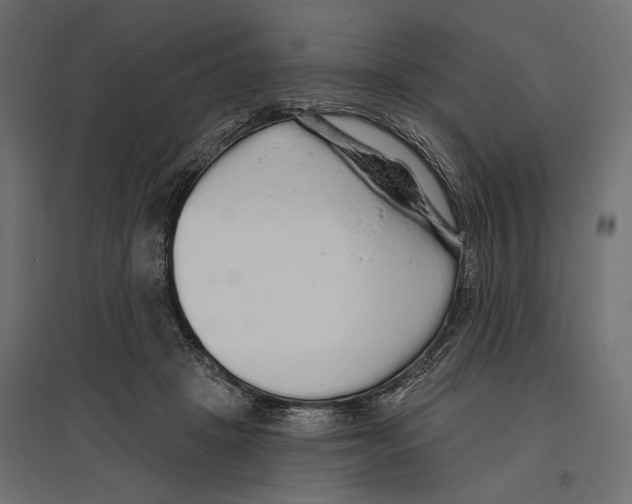 X0000096990457200803071057