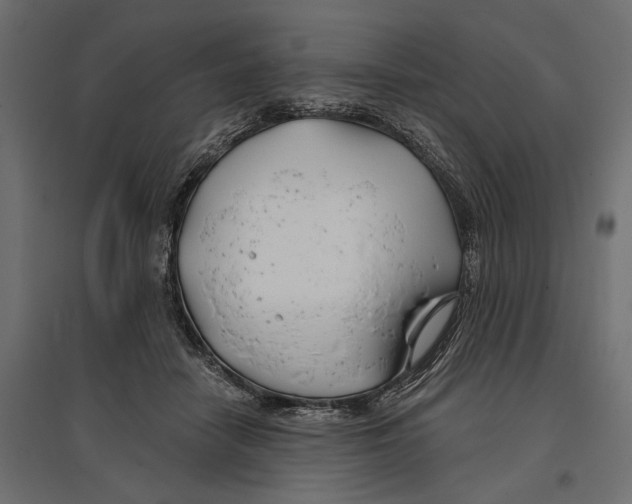 X0000096990458200803071057