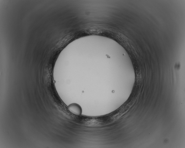 X0000096990460200803071057