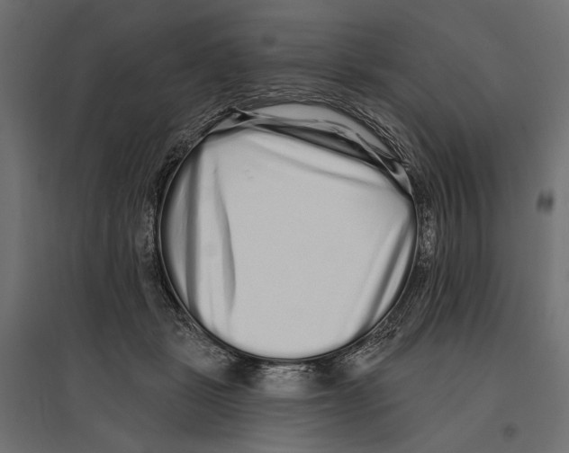 X0000096990461200803071057