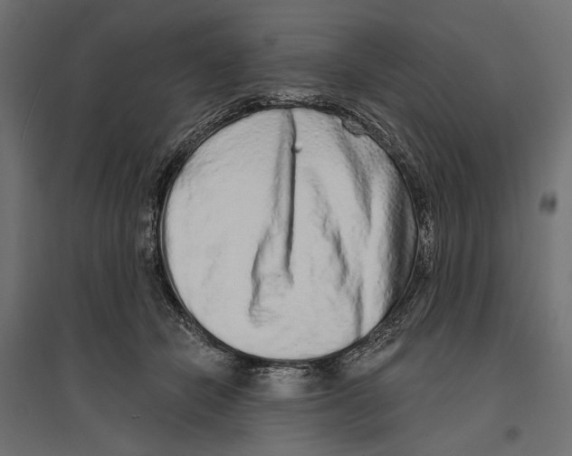 X0000096990462200803071057